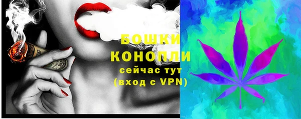 шишки Баксан