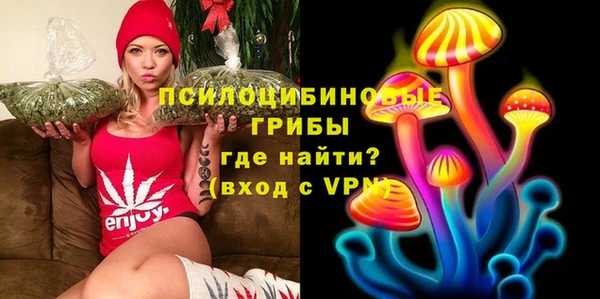шишки Баксан