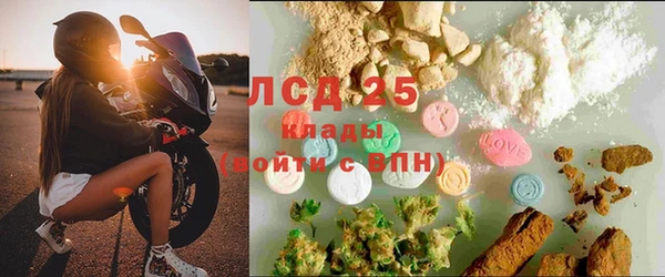 шишки Баксан