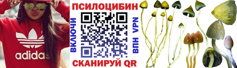 Псилоцибиновые грибы прущие грибы  купить  цена  Усолье 